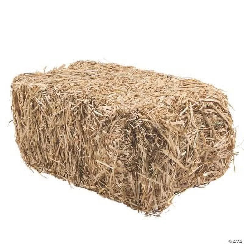 FloraCraft Decorative Straw Hay Bale - 24, Birthday, Craft Supplies, 1 Piece