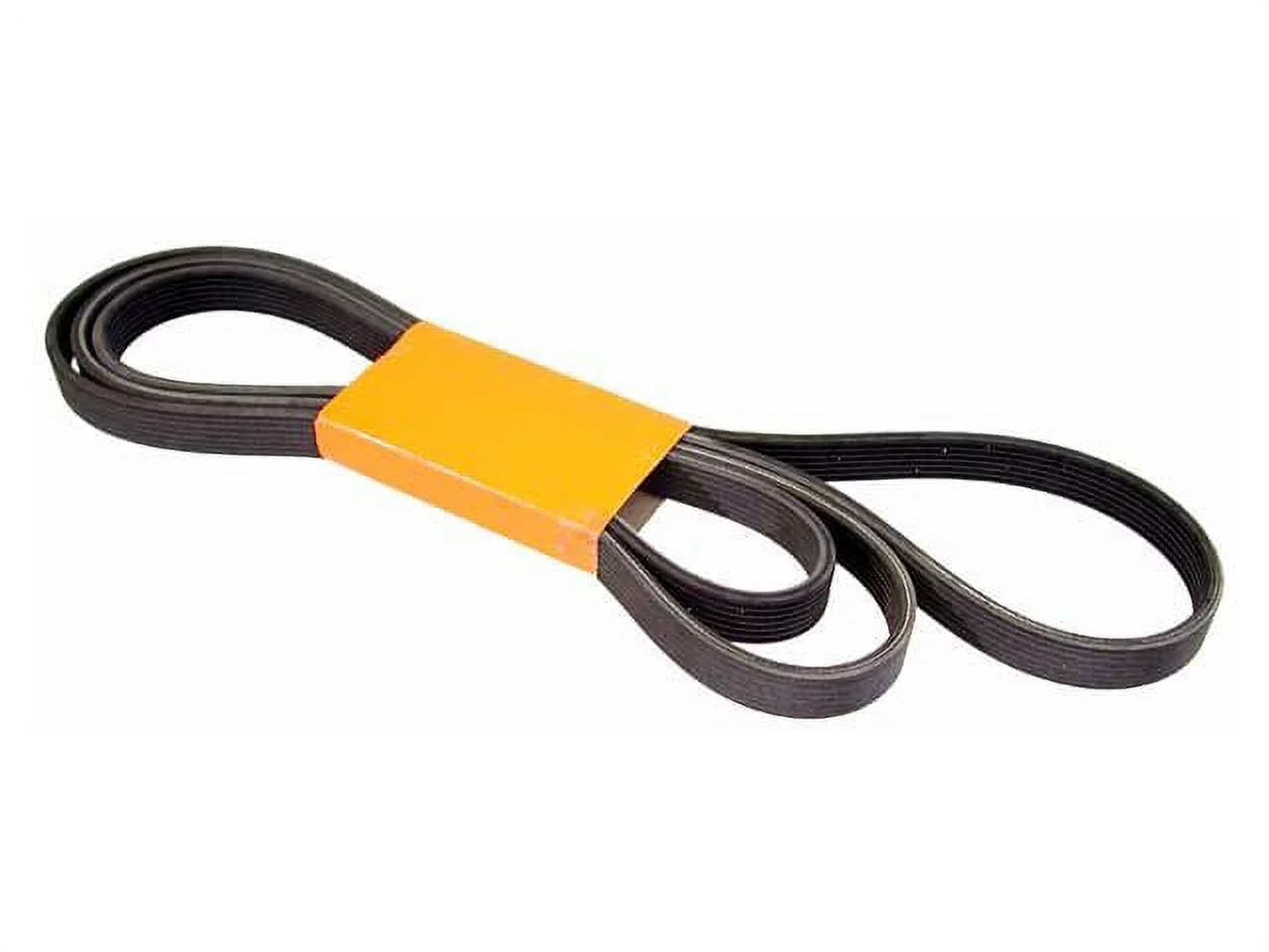 Accessory Drive Belt - Compatible with 2003 - 2006 Porsche Cayenne 2004 2005